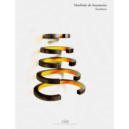 Livro - Manfredo de Souzanetto - Esculturas