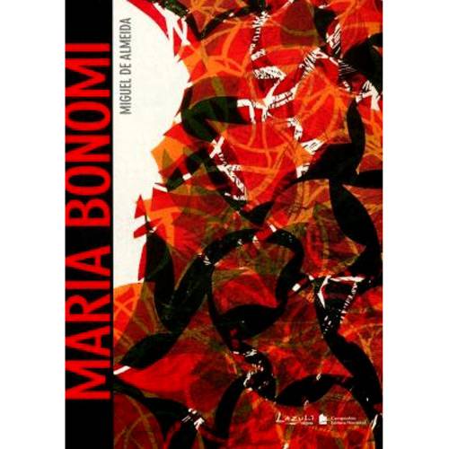 Livro - Maria Bonomi
