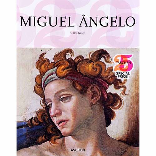 Livro - Michel Ângelo