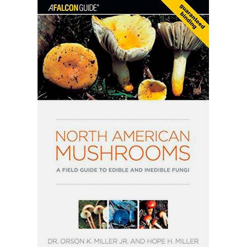 Livro - North American Mushrooms
