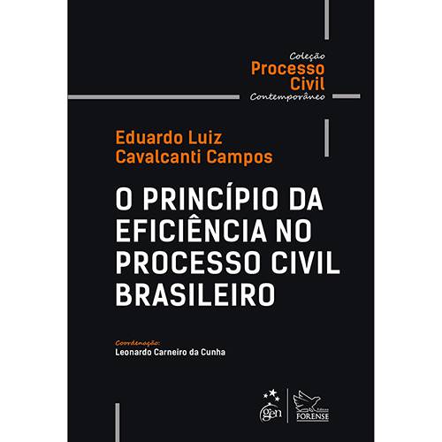 Livro - o Princípio da Eficiência no Processo Civil Brasileiro