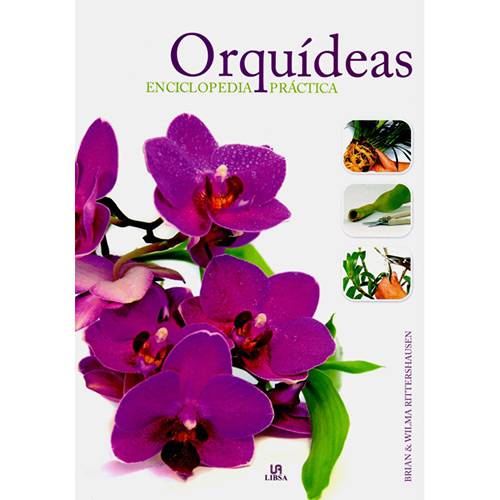 Livro - Orquídeas