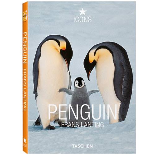 Livro - Penguin
