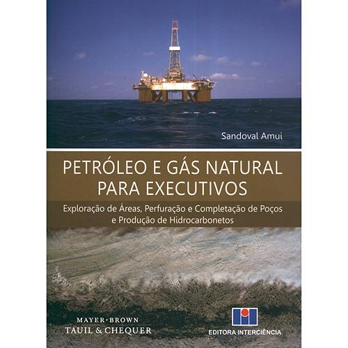 Livro - Petróleo e Gás Natural para Executivos