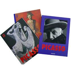 Livro - Picasso 2 Vol.