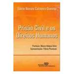 Livro - Prisao Civil e os Direitos Humanos
