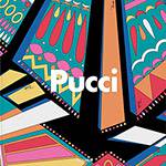Livro - Pucci