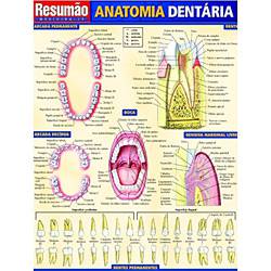 Livro - Resumão - Anatomia Dentária