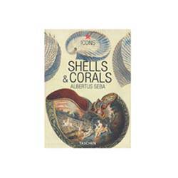Livro - Shells & Corals