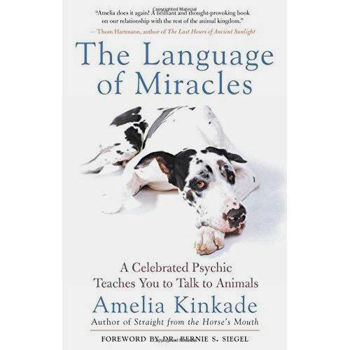 Livro - The Language Of Miracles