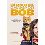 Livro - um Gato de Rua Chamado Bob: a História Real que Deu Origem ao Filme