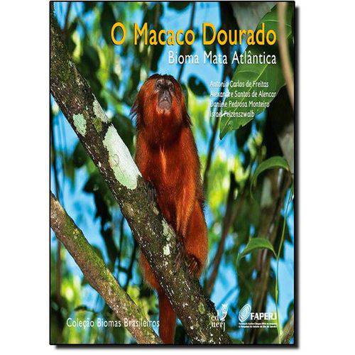 Macaco Dourado, O: Bioma Mata Atlântica - Coleção Biomas Brasileiros