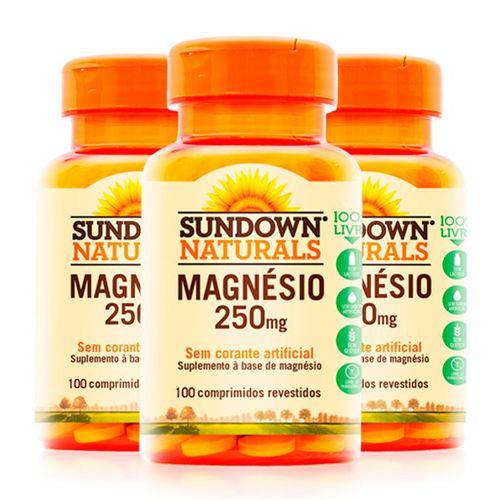 Magnésio 250mg - 3 Un de 100 Comprimidos - Sundown