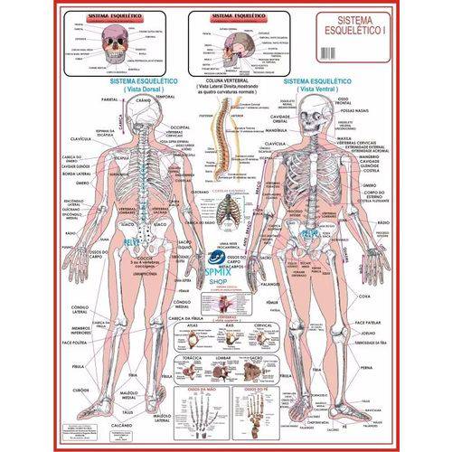 Mapa do Corpo Humano Sistema Esqueletico I 120x90 Cm