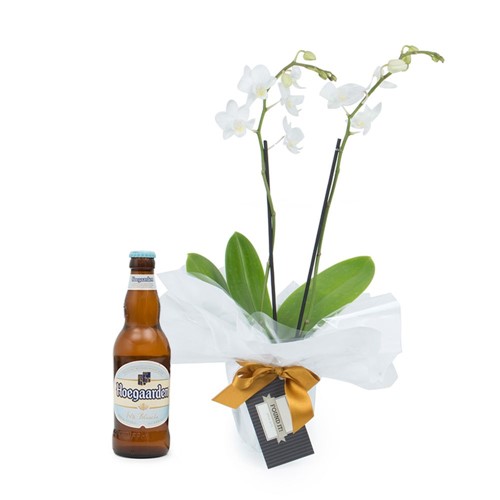Mini Orquídea Branca + Cerveja Premium 355 Ml