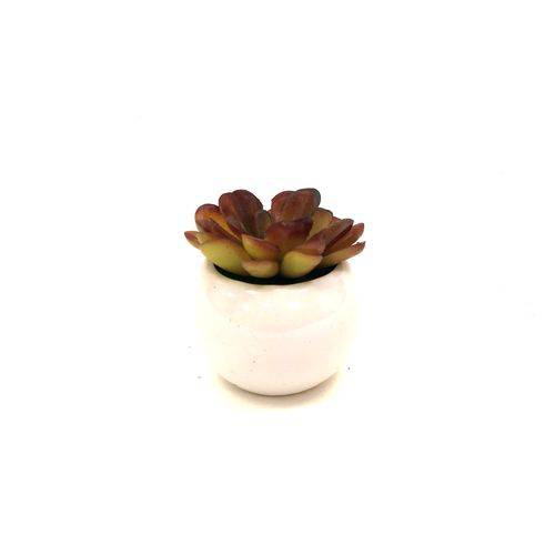 Mini Vaso Porcelana com Planta