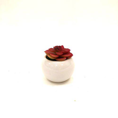 Mini Vaso Porcelana com Planta