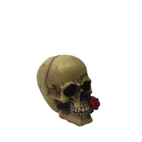 Miniatura Crânio Caveira Decorativa Resina com Mini Flor