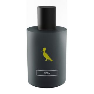 Neon Reserva Perfume Masculino - Eau de Toilette 100ml