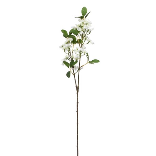Nina Flor Euphorbia Branco/verde