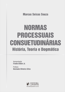 Normas Processuais Consuetudinárias: História, Teoria e Dogmática (2019)