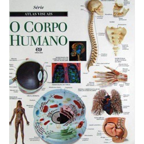 O Corpo Humano - Atlas Visuais - Atica