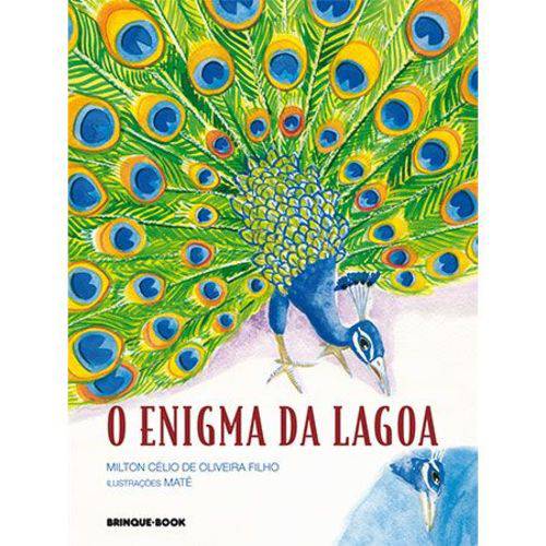 O Enigma da Lagoa - Editora Brinque-Book