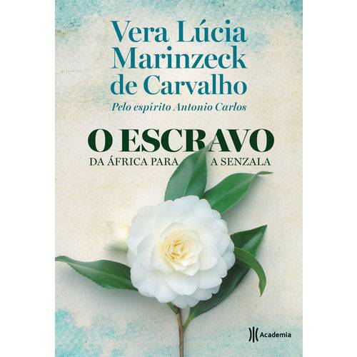 O Escravo ¿ da África para a Senzala - 1ª Ed.