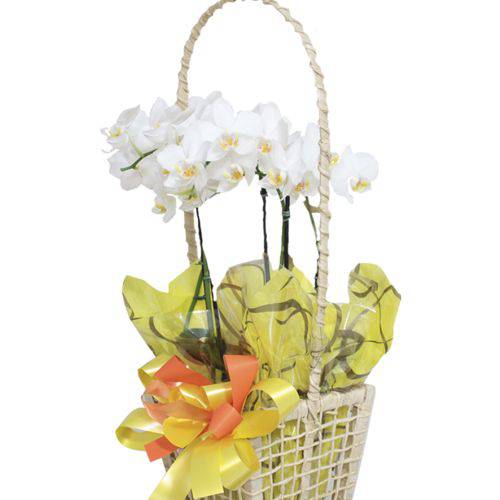 Orquídea Decorada Branca Quatro Hastes em Vaso Decorada com Cesta