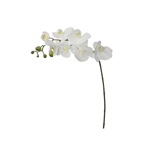 Orquídea em Silicone Brilliance 70cm Branco