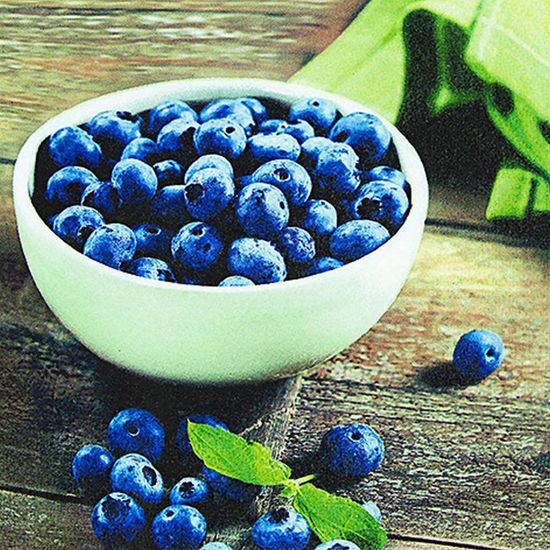 Pacote de Guardanapos Descartaveis Blueberries