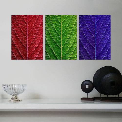 3 Painéis Decorativos 28x40cm Cada - Folhas Coloridas RGB - 28400171