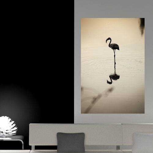 Painel Adesivo de Parede - Flamingo - N1108