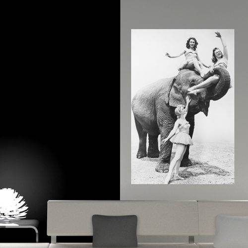 Painel Adesivo de Parede - Garotas e Elefante - N1168