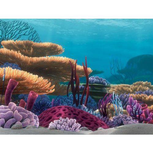 Painel de Fundo Procurando Nemo NMBG1 Corais 51x31cm