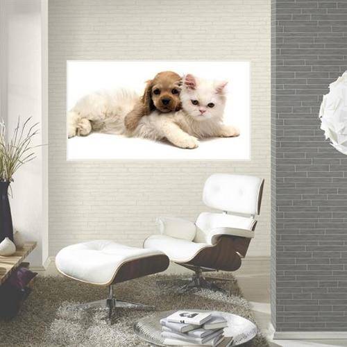 Painel Fotográfico Adesivo - Cachorro e Gato Modelo 03