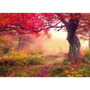 Painel Fotográfico de Natureza Luzes de Outono PA15004