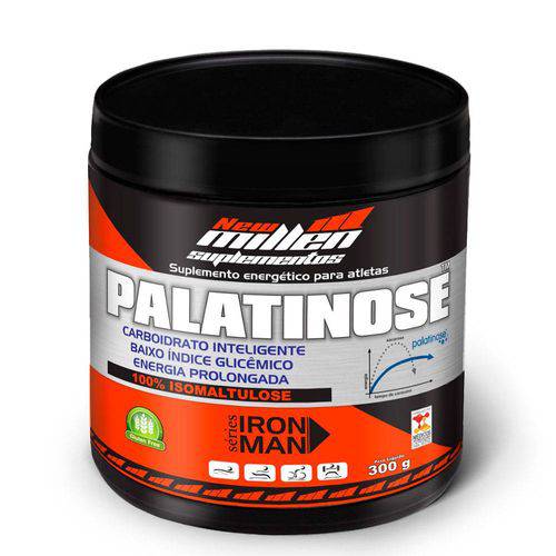 Palatinose - 300g - New Millen
