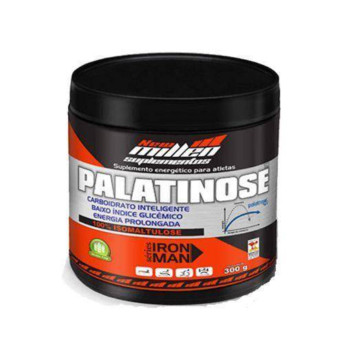 Palatinose - 300g -new Millen