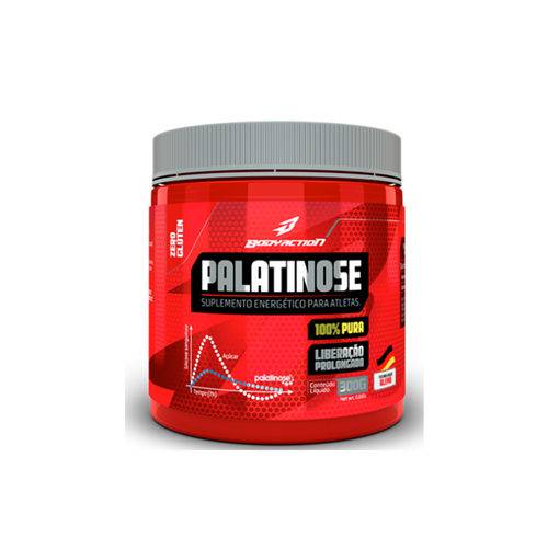 Palatinose 300gr - Body Action