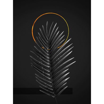 Gravura para Quadros – Arte Palmeira - 36 X 47,5 Cm - Papel Fotográfico Fosco