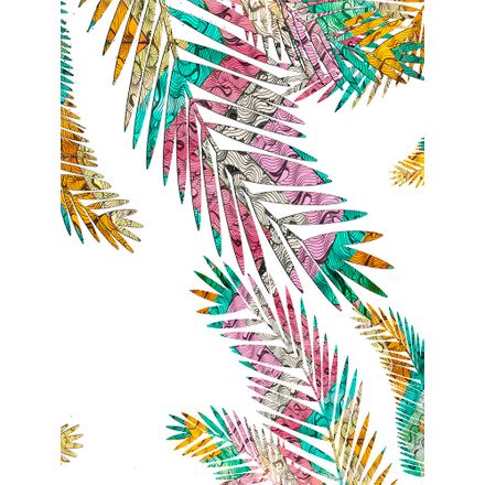 Gravura para Quadros – Arte Palmeira Brasileira 02 - 36 X 47,5 Cm - Papel Fotográfico Fosco