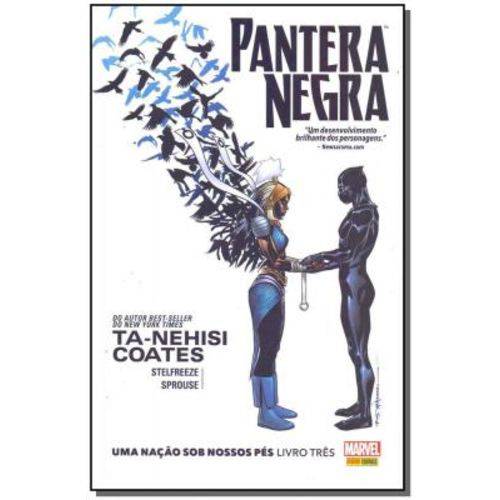 Pantera Negra: uma Nação Sob Nossos Pés