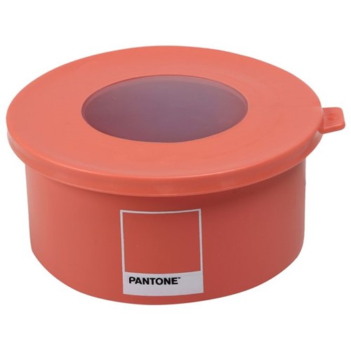 Pantone Hoop Pote 500 Ml Flamingo