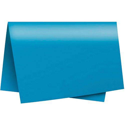 Papel Cartolina Dupla Face Color Set 45x66cm Azul Royal Romitec/plastpark Pct.c/20