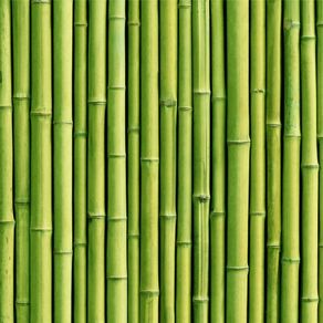 Papel de Parede Adesivo Bambu BB19019