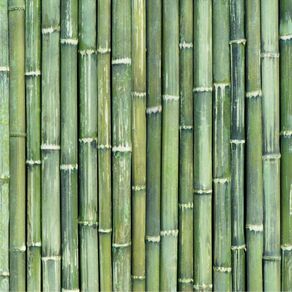 Papel de Parede Adesivo Bambu Verde Mar BB19021