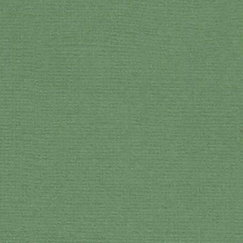 Papel Scrapbook Cardstock - PCAR031 - Verde Mata