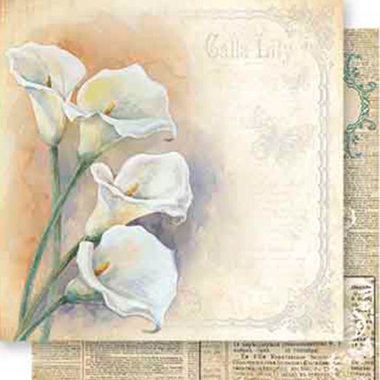 Papel Scrapbook Litoarte 30,5x30,5 SD-552 Flor Copo de Leite