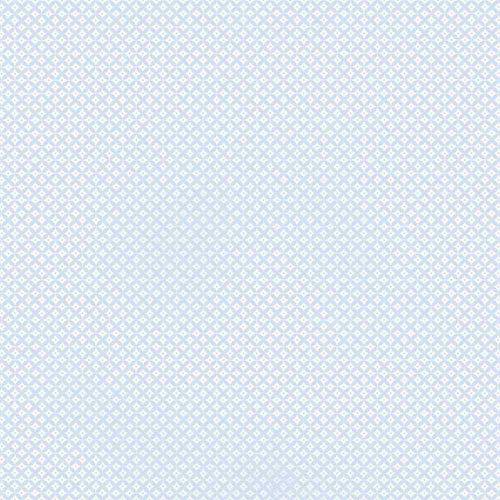 Papel Scrapbook Litocart Lsc-311 Simples 30,5x30,5cm Abstrato Azul Claro e Branco